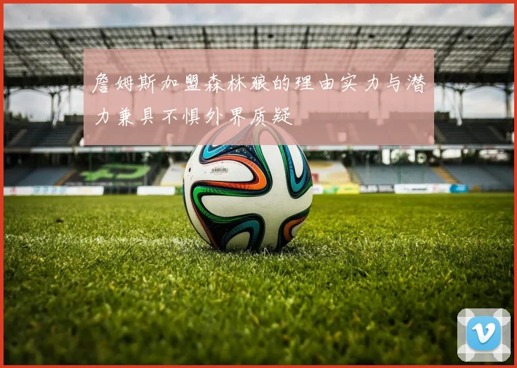 詹姆斯加盟森林狼的理由实力与潜力兼具不惧外界质疑