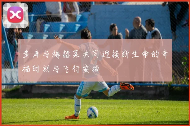 多库与梅赫莱共同迎接新生命的幸福时刻与飞行安排