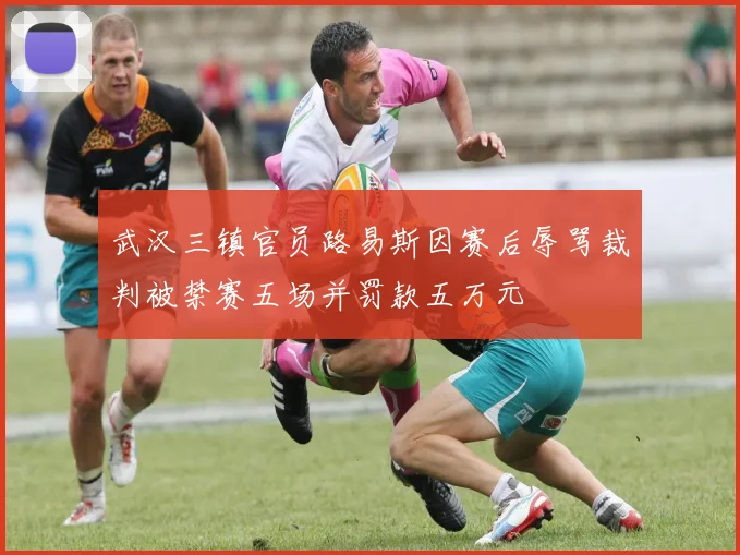 武汉三镇官员路易斯因赛后辱骂裁判被禁赛五场并罚款五万元